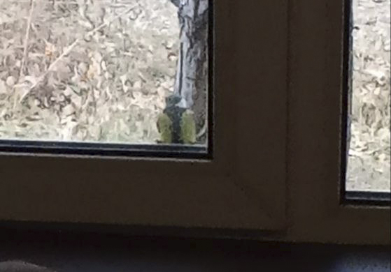 I had new friends in Tashara (November).