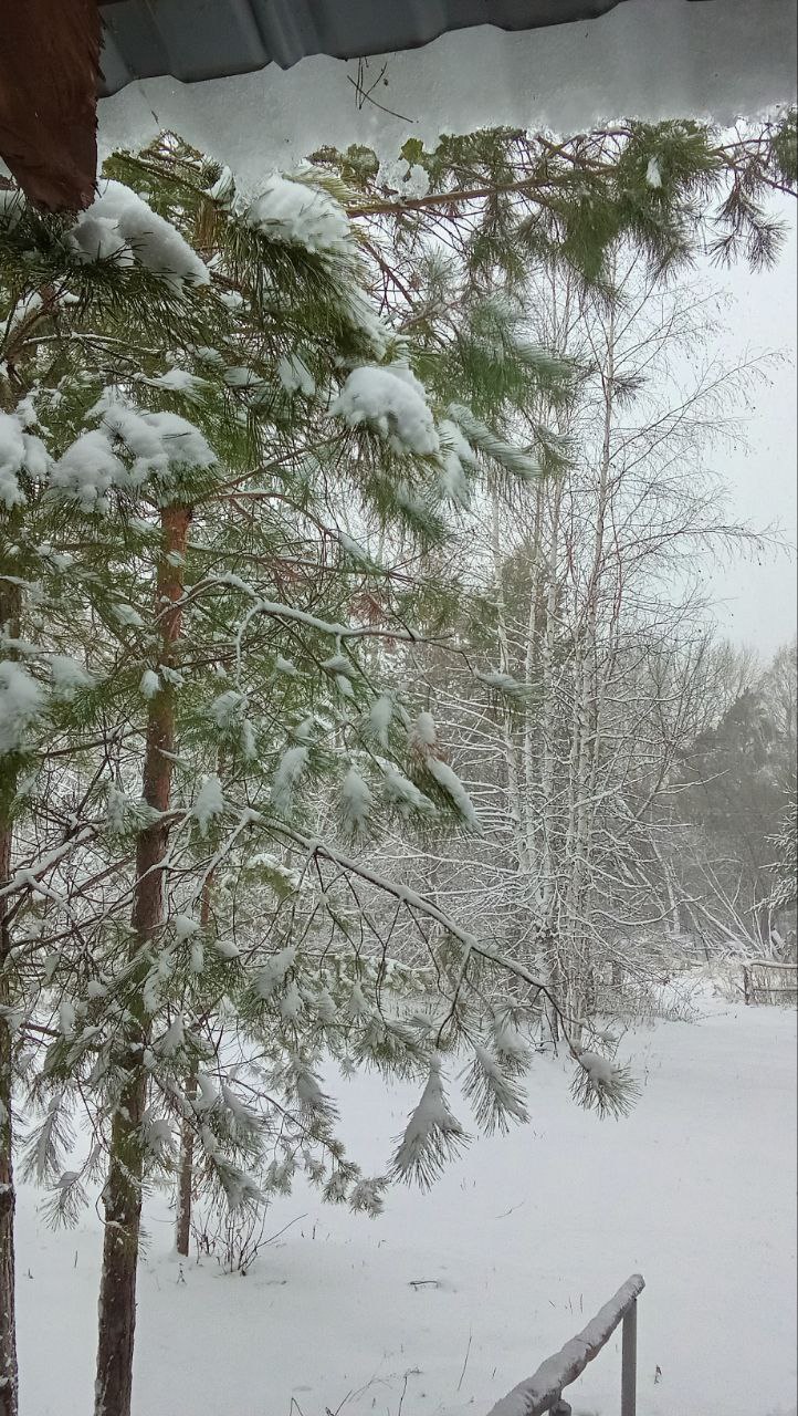 Some heavy snow last night (Tashara - November).