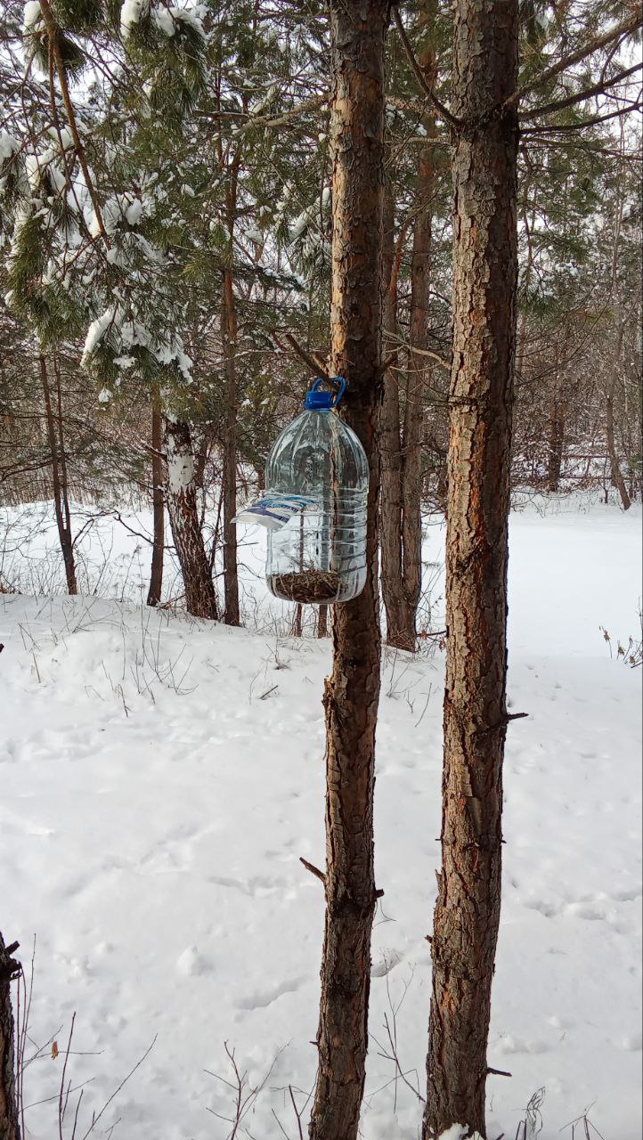 Home-made - loved by my friends (Tashara - November).