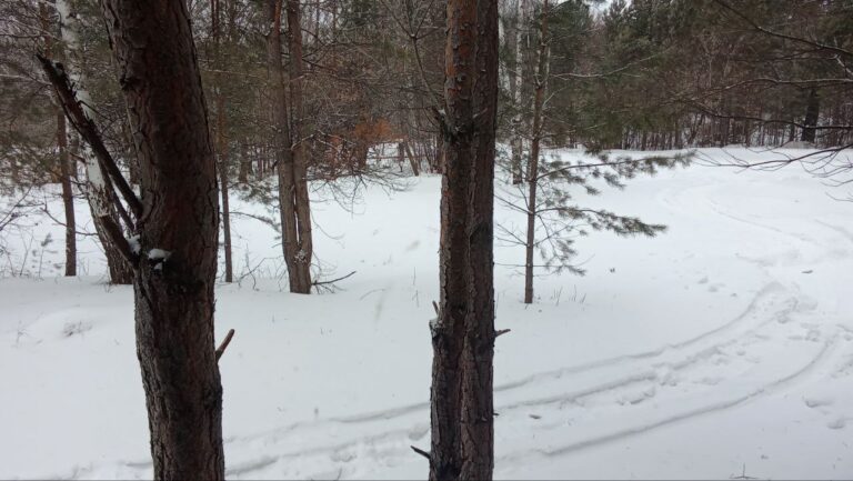 This will become my "television" for many hours (Tashara - January).