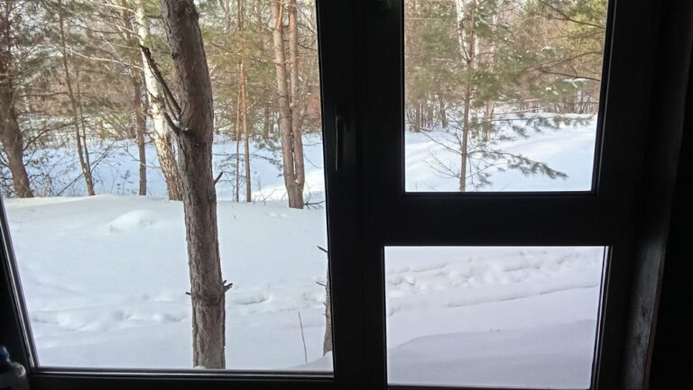 My beloved television (Tashara - February).