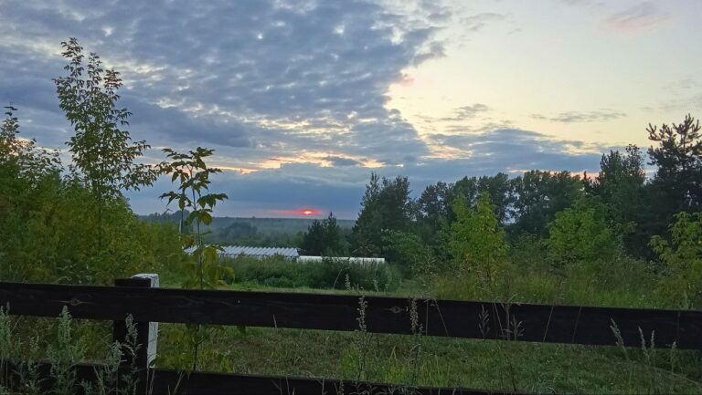 Sunset in summer (Tashara - August).