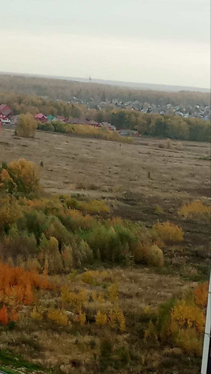 Autumn comes early in Sibiria - September in Novosibirsk