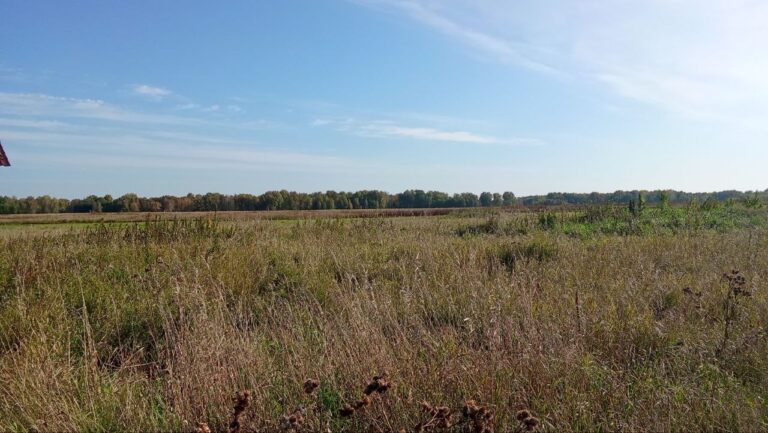 The little house had a lot of land - amazing (north of Novosibirsk).