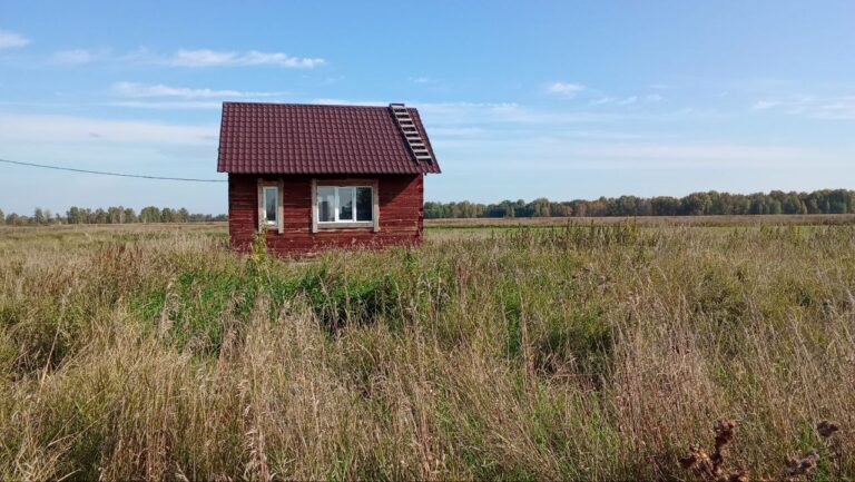 Looking at a little house (with Yuri) - north of Novosibirsk