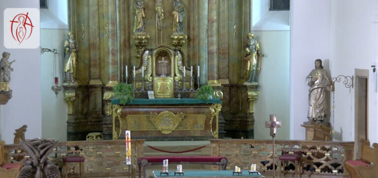 Enjoying the online church service (Pfarrei Maria, Mutter der Kirche Maikammer)